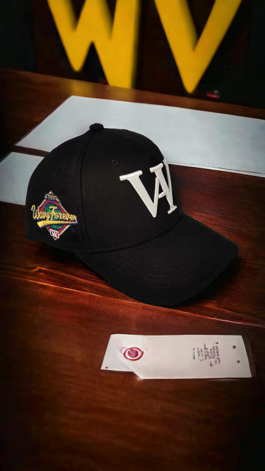 BLACK SUEDE 🚨 SPECIAL EDITION  SATIN LINED SNAPBACK🚨